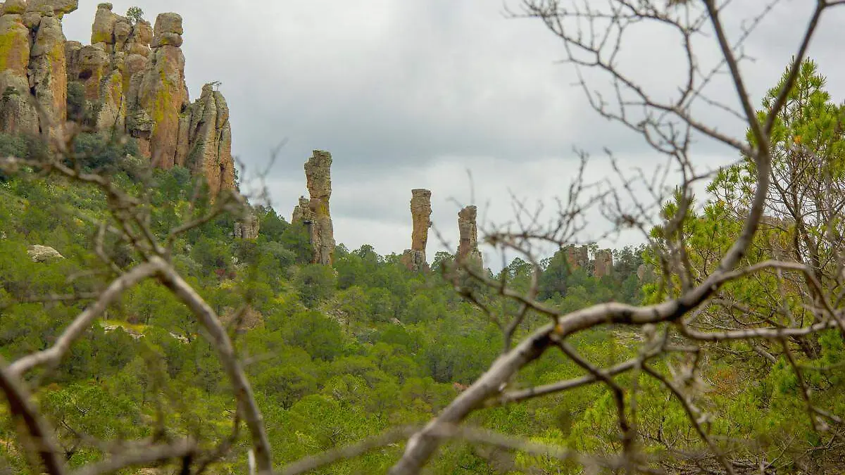 Parque nacional Sierra de Órganos, Sombrerete, Zacatecas